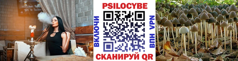 дарнет шоп  Менделеевск  Галлюциногенные грибы мухоморы 