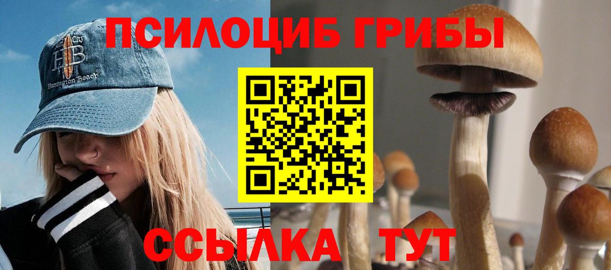 Псилоцибиновые грибы Magic Shrooms Менделеевск