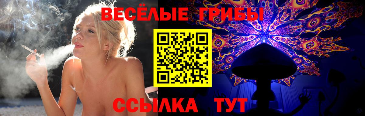 Псилоцибиновые грибы Psilocybe  Галлюциногенные грибы GOLDEN TEACHER  Менделеевск 